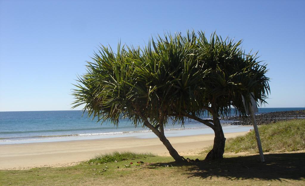 Koola Beach Apartments Bargara Eksteriør bilde